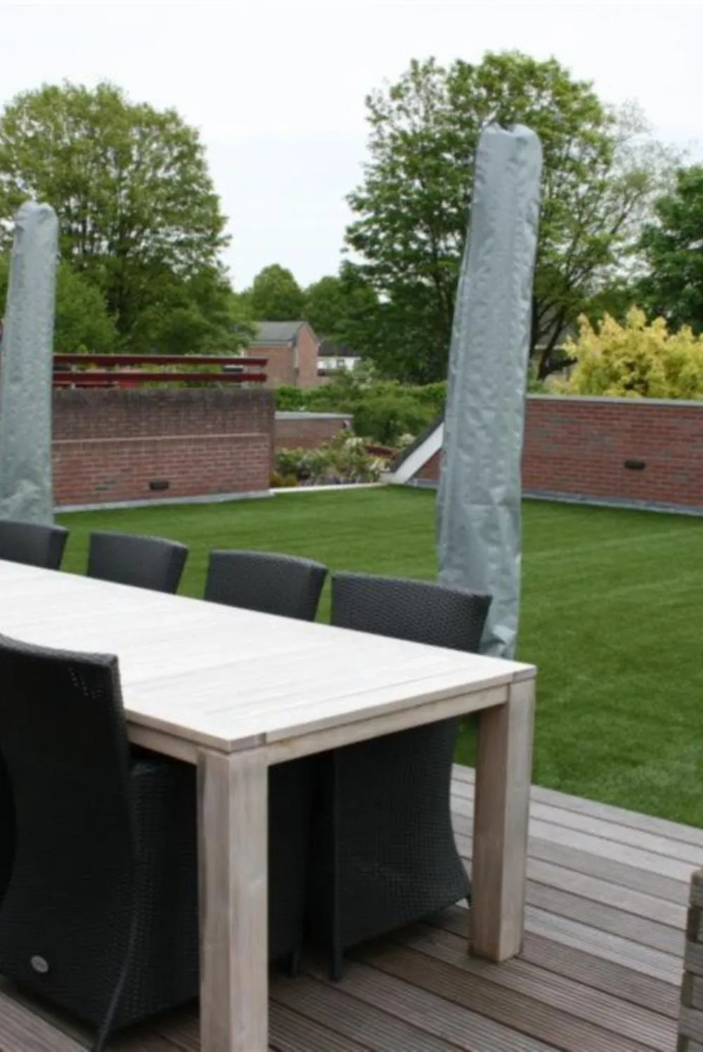 Five Star Grass - Non-Infill Landscape Grass